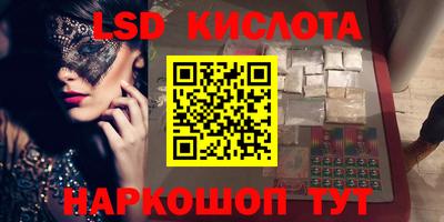 гидра Будённовск