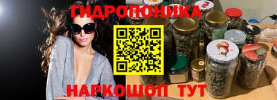 гидра Будённовск
