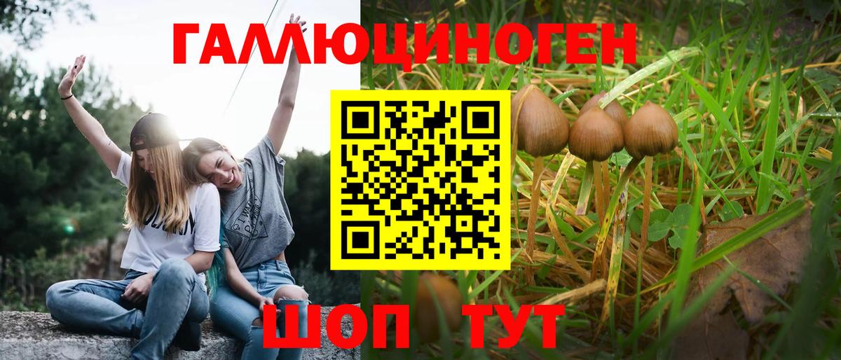 Псилоцибиновые грибы Psilocybine cubensis  Псилоцибиновые грибы мицелий  Воткинск 