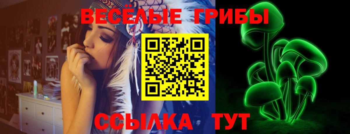 Псилоцибиновые грибы Cubensis Воткинск